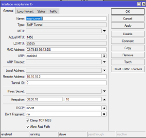 Eoip Interface
