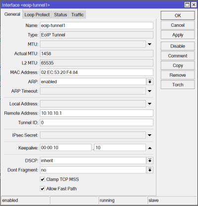 Eoip Interface